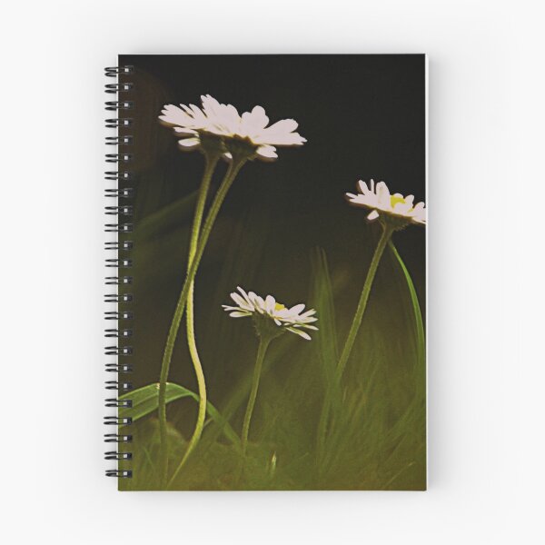 Item preview, Whilst mortals sleep daisies dance in the moonlight designed and sold by Photography  by Mathilde.