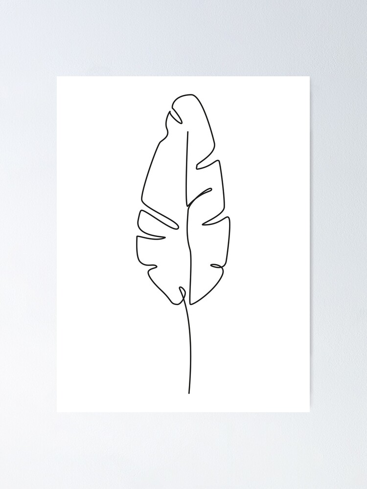 banana leaf and monstera sketch 5005046 Vector Art at Vecteezy