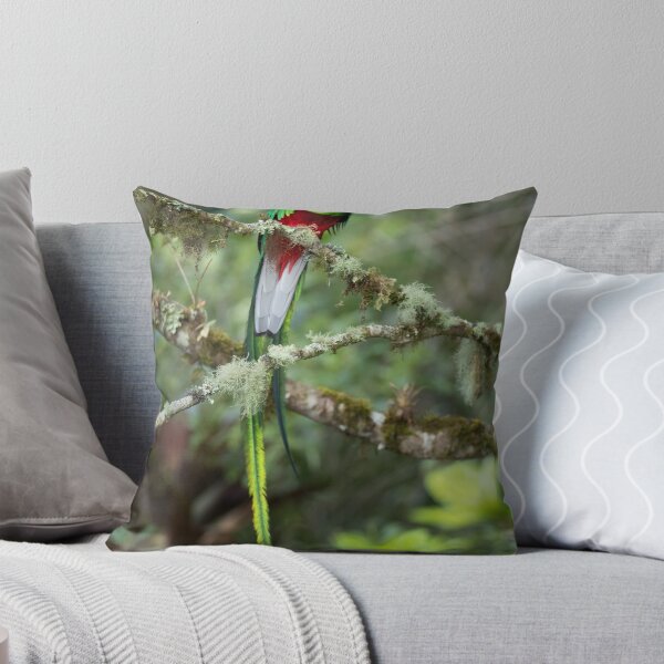 Item preview, Resplendent Quetzal designed and sold by Rob Lavoie.