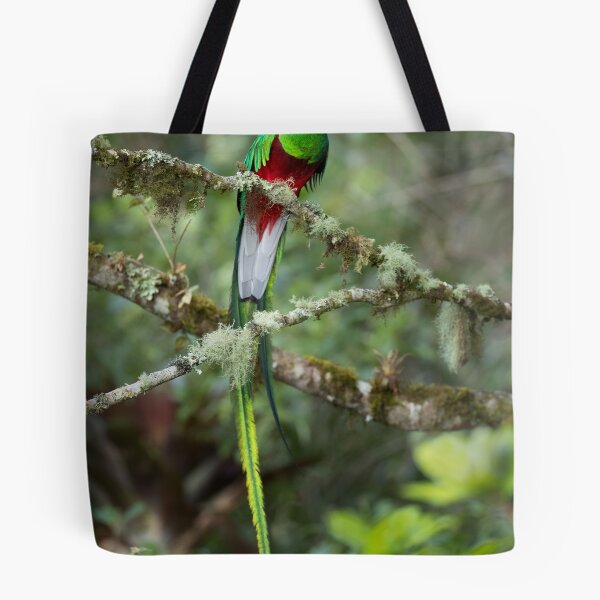 Item preview, Resplendent Quetzal designed and sold by Rob Lavoie.