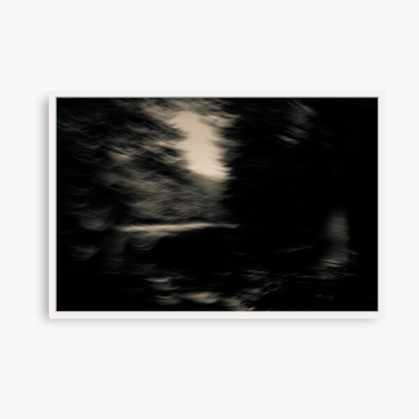 From The Darkness Of The Forest Into The Light Of The Clearing Canvas Print