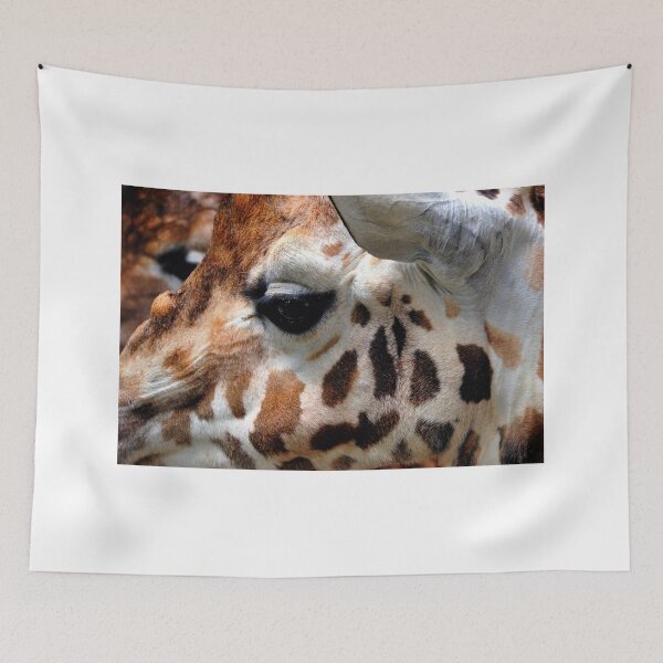 Item preview, African Giraffe Amelopardalis Giraffa designed and sold by AndyEvansPhotos.