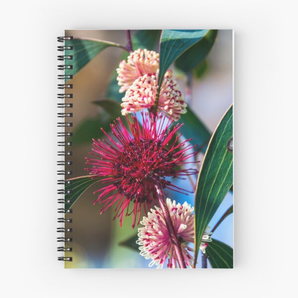 Item preview, Bottlebrush designed and sold by Shereewatt.
