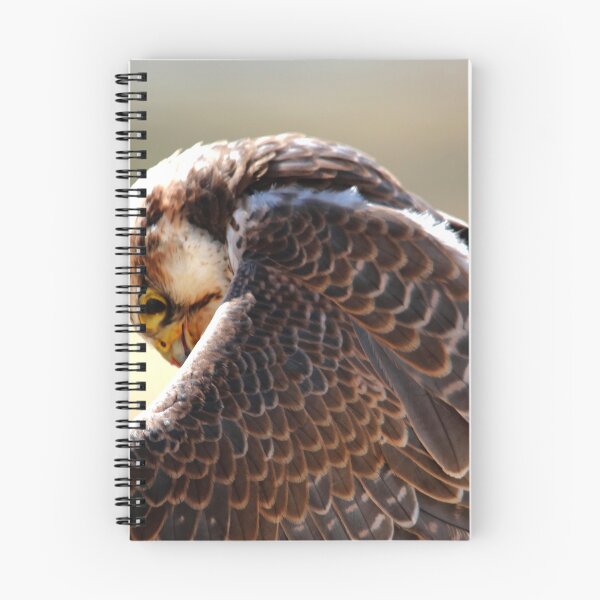 Item preview, Lanner Falcon designed and sold by Larry Trupp.