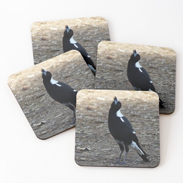 Item preview, Singing Magpie designed and sold by Dragonsfield.