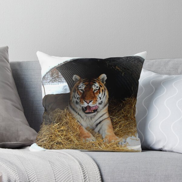 Item preview, Tunnel Vision!!! designed and sold by Larry Trupp.