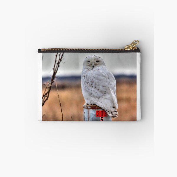 Item preview, BIG SNOWY  designed and sold by Larry Trupp.
