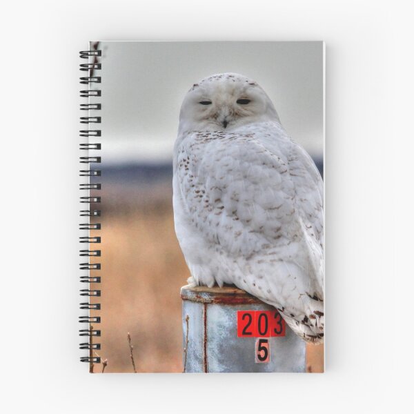 Item preview, BIG SNOWY  designed and sold by Larry Trupp.