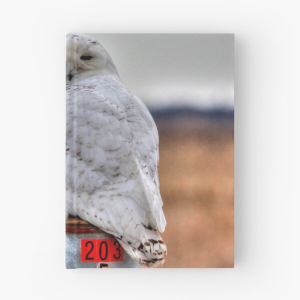 Item preview, BIG SNOWY  designed and sold by Larry Trupp.