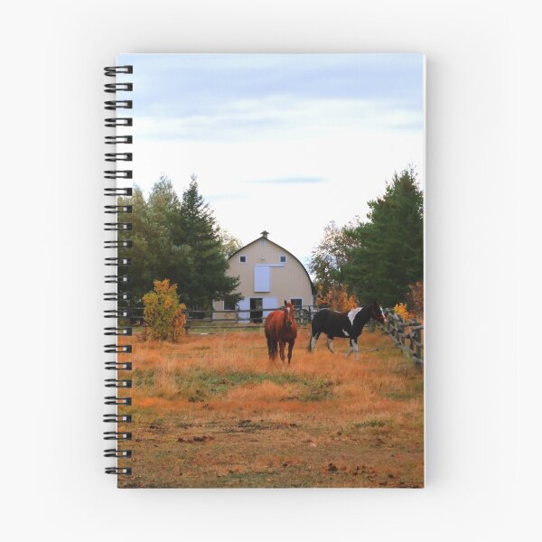 Item preview, PASTORAL VIEW designed and sold by Larry Trupp.