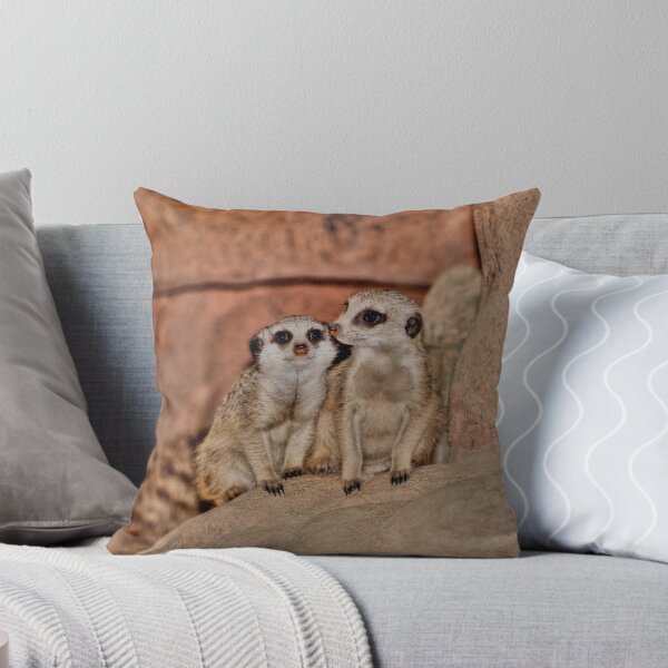 Item preview, Baby Meerkats designed and sold by Larry Trupp.