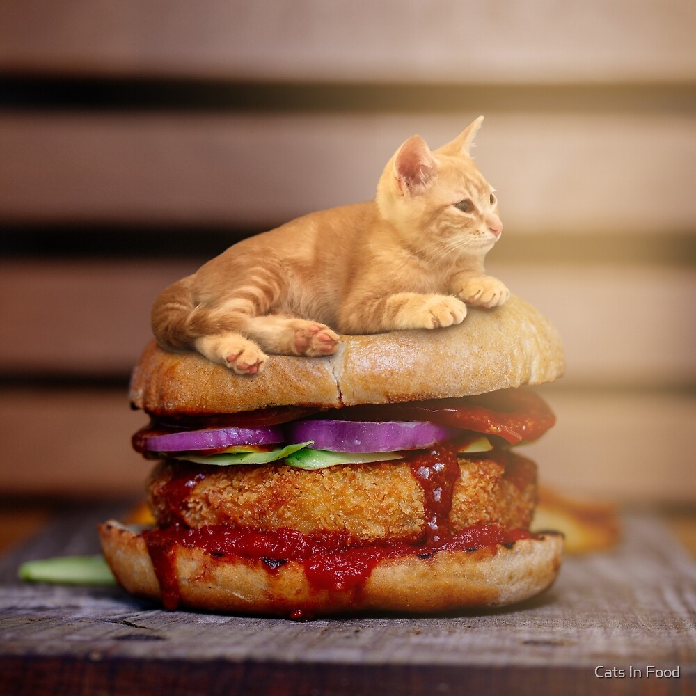 hamburger for cats