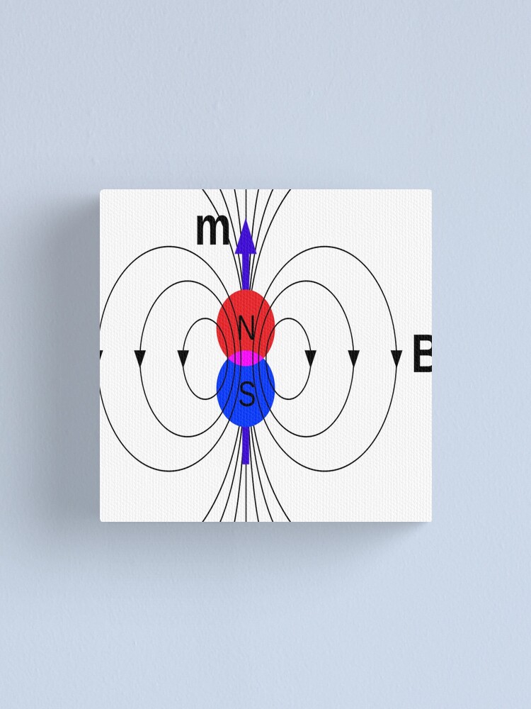 Alternate view of A #magnetic #dipole is the limit of either a closed loop of #electric #current or a pair of poles as the dimensions of the source are reduced to zero while keeping the magnetic moment constant Canvas Print