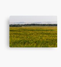Greenery Canvas Print