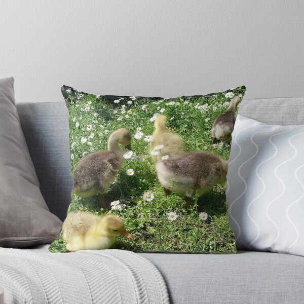 Item preview, Little geese designed and sold by Ana Belaj.