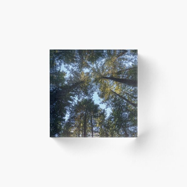 Life is Looking up! Acrylic Block