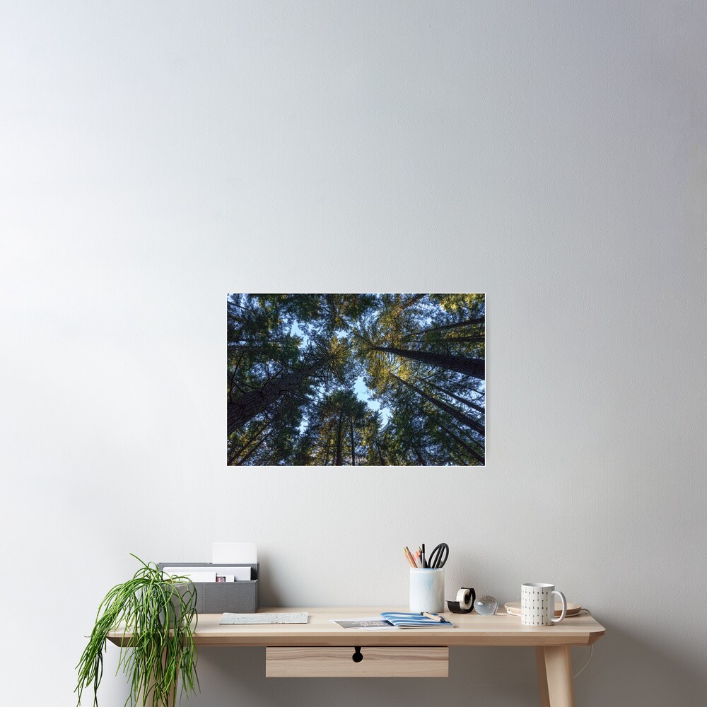 Life is Looking up! Poster