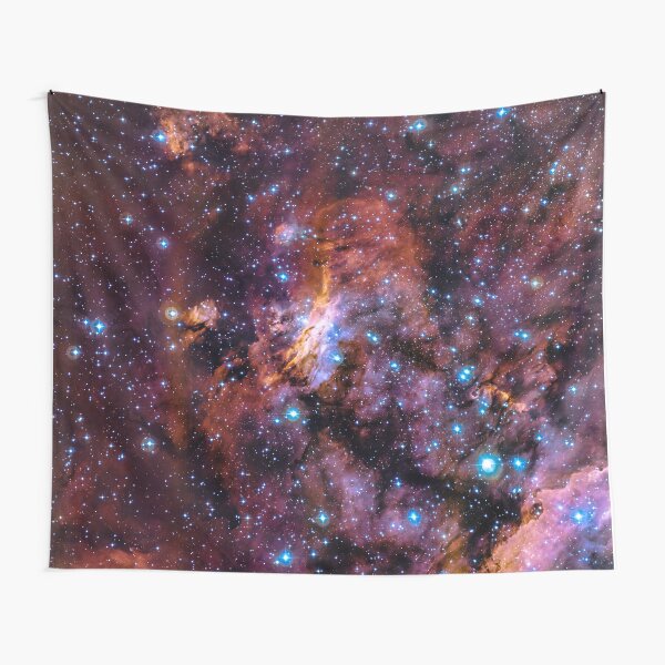 Item preview, The Prawn Nebula designed and sold by EarthMoonStars.
