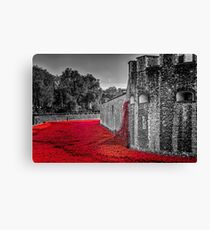 Cascading Poppies, Tower of London Canvas Print