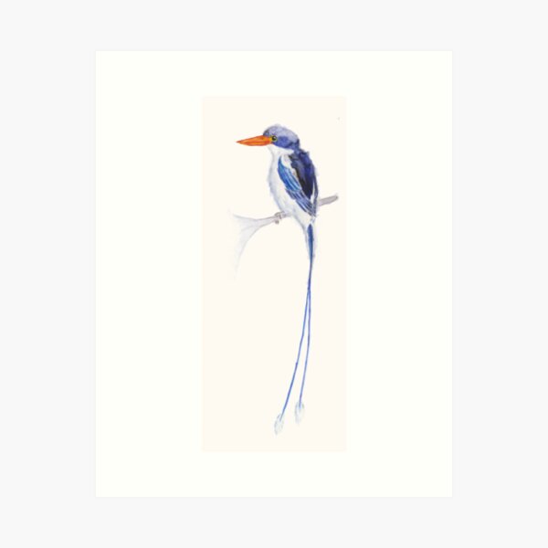 Item preview, Paradise kingfisher designed and sold by Marie Magnusson.