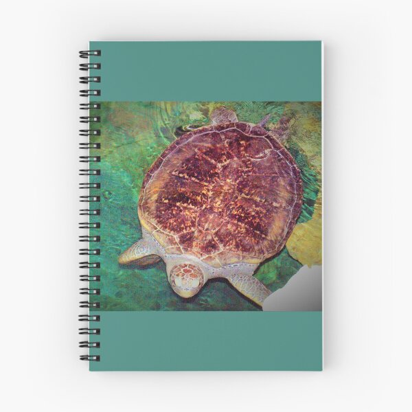 Item preview, Sea turtle at the aquarium designed and sold by B. Randi Bailey.