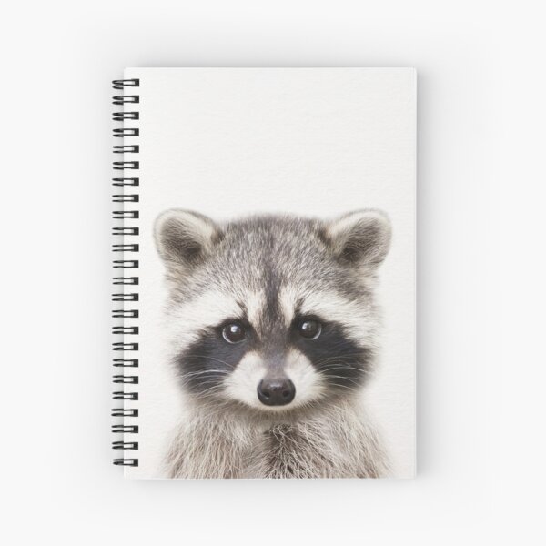 Item preview, Baby Raccoon, Baby Animals Art Print by Synplus designed and sold by synplus.