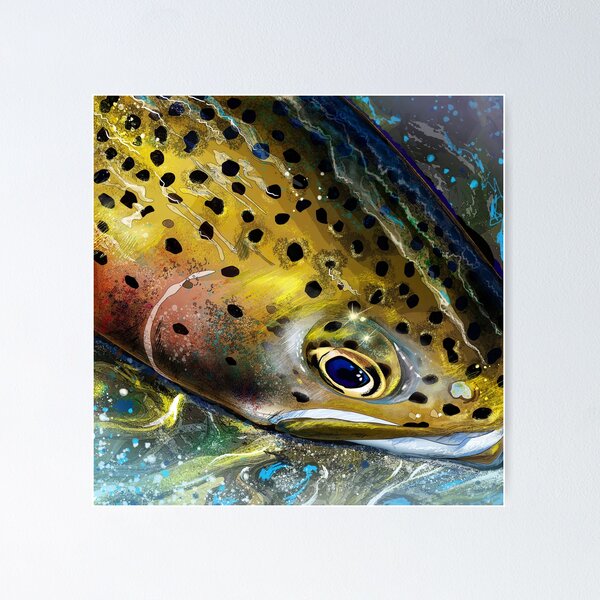 Rainbow Trout Fly Fishing print Poster for Sale by jakehughes2015