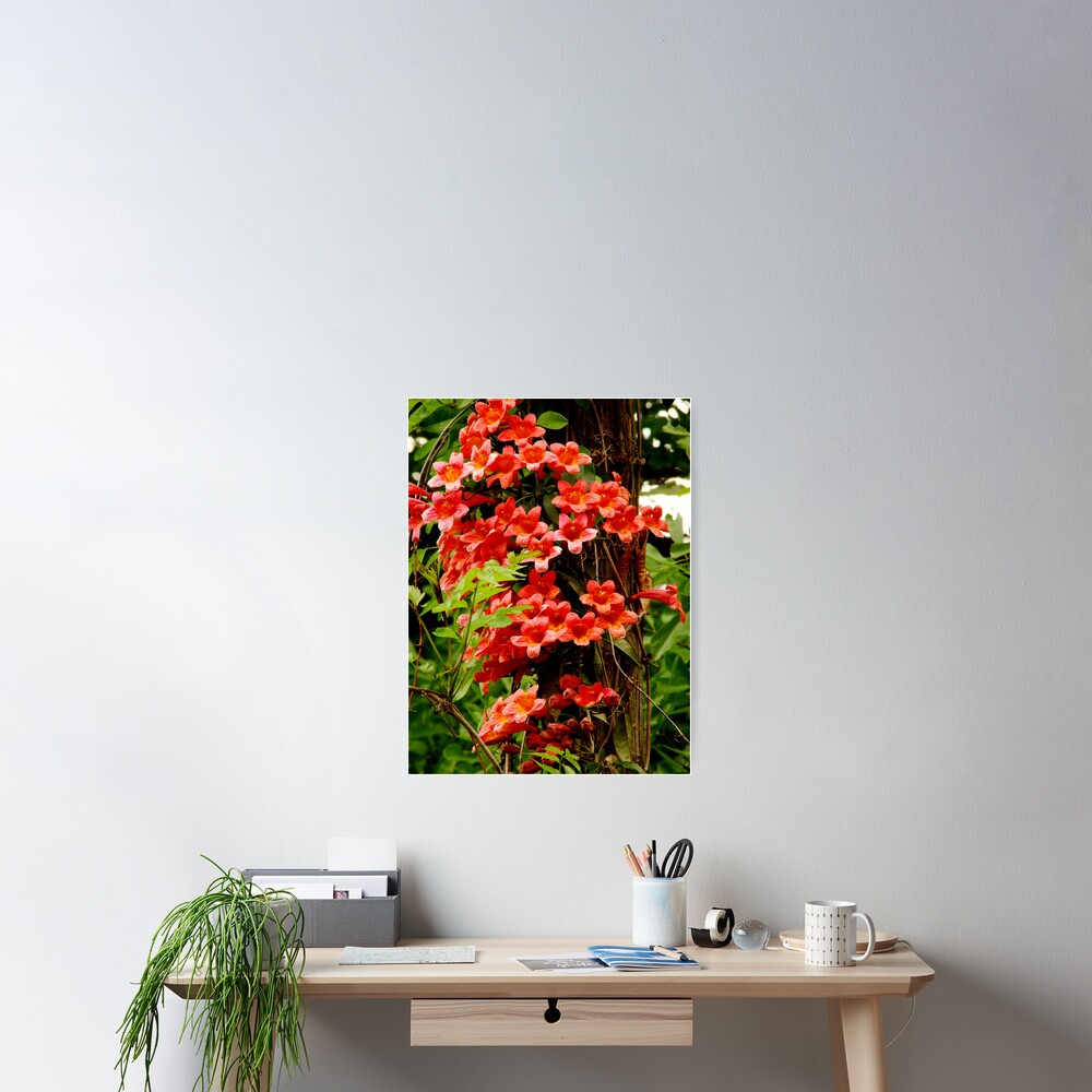 Item preview, Poster designed and sold by Rodwilliams.