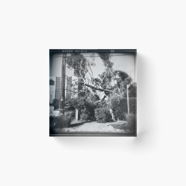 Item preview, If A Tree Falls in Los Feliz designed and sold by joshsteich.