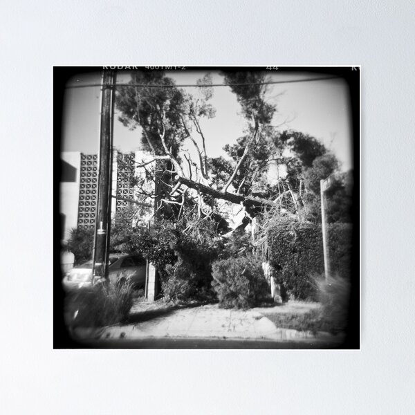 Item preview, If A Tree Falls in Los Feliz designed and sold by joshsteich.