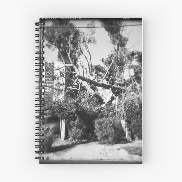 Aperçu de l'œuvre Si un arbre tombe à Los Feliz créée et vendue par joshsteich.