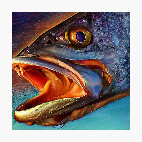 Speckled Trout Fishing Art Print By Artist, Mark Erickson, Speckled  Cockroach