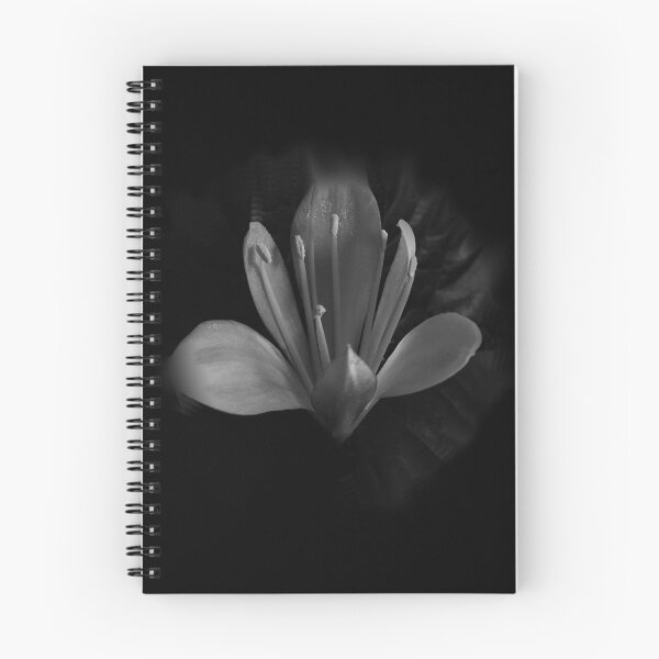 Item preview, Great Flower - Castle in the Mist designed and sold by cvelasco88.