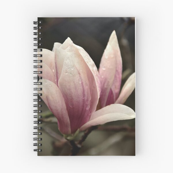 Item preview, Rain soaked Magnolia..... designed and sold by Poete100.