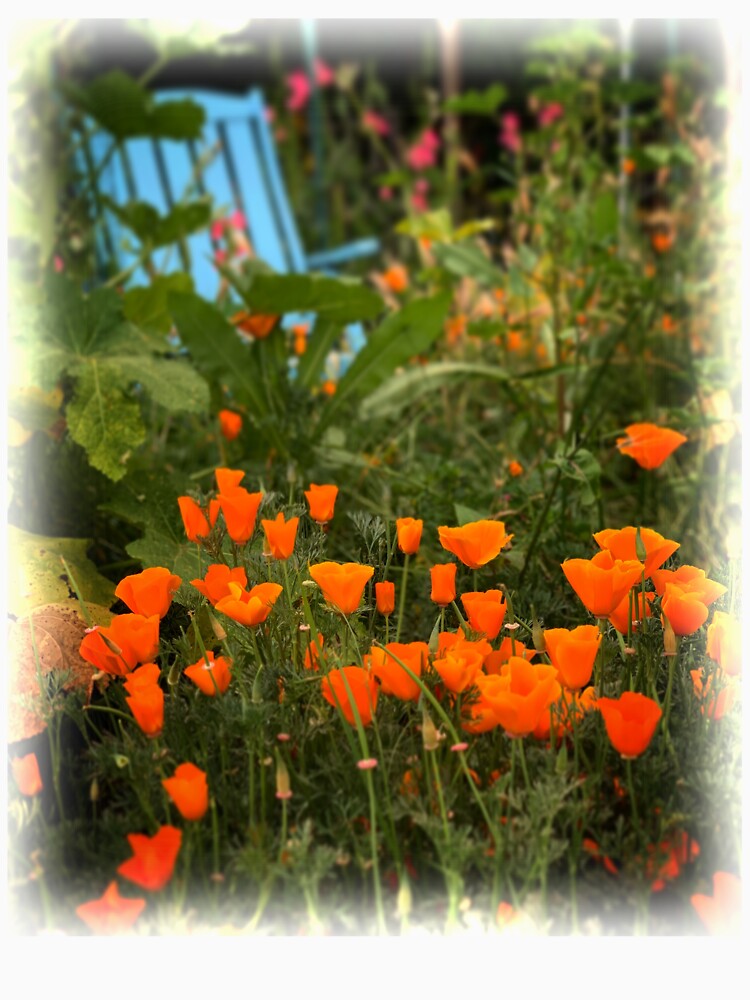 California Poppies In The Garden by douglasewelch