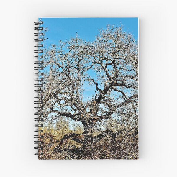 Item preview, The Squatting Tree designed and sold by Martha Sherman.