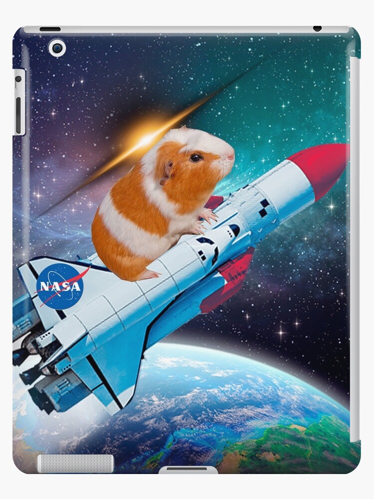 Space sales guinea pig