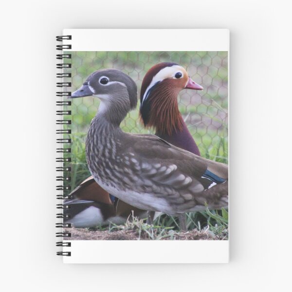 Item preview, Mandarin Duck Pair designed and sold by Kim Deans.