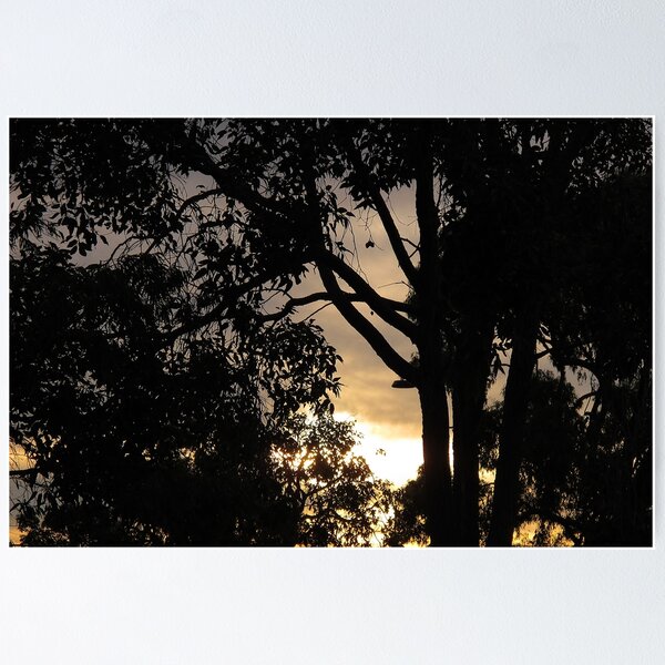 Item preview, Sunset Through the Trees designed and sold by Stephen Horton.