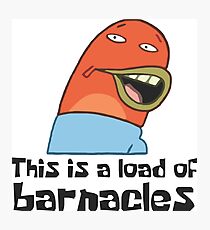 this is a load of barnacles 9 Photographic Print