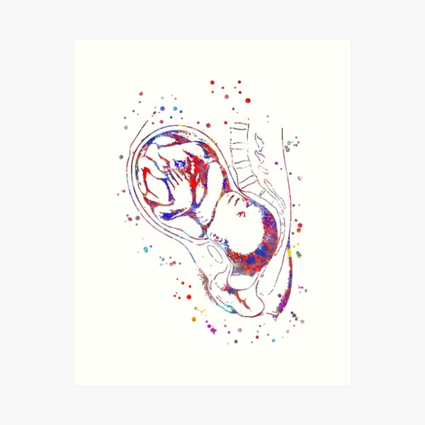Item preview, Pregnancy, Pregnant woman anatomy, fetus, foetus, baby's development designed and sold by Rosaliartbook.