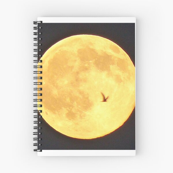 Item preview, Fly Me to the Moon designed and sold by lindasdreams.