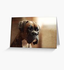 Tarjeta de felicitación The Boxer