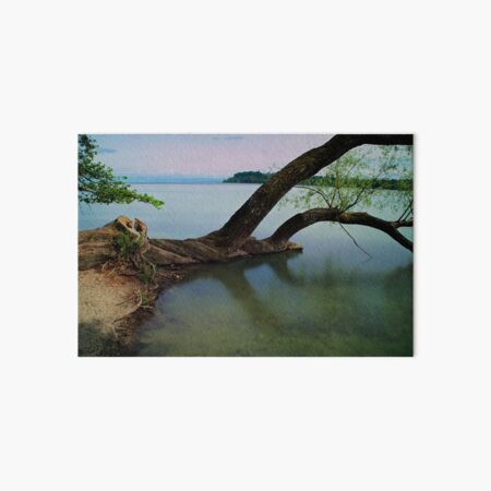 Artikel-Vorschau von Der Baum am See, designt und verkauft von frankuffmann.