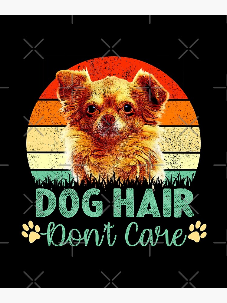 Dog Hair Don T Care Chihuahua Dog Design Photographic Print By