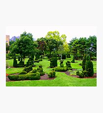 A Sunday on La Grande Jatte Photographic Print