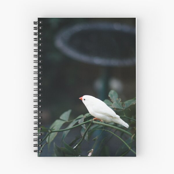 Item preview, White Zebra Finch designed and sold by notjustamwac.
