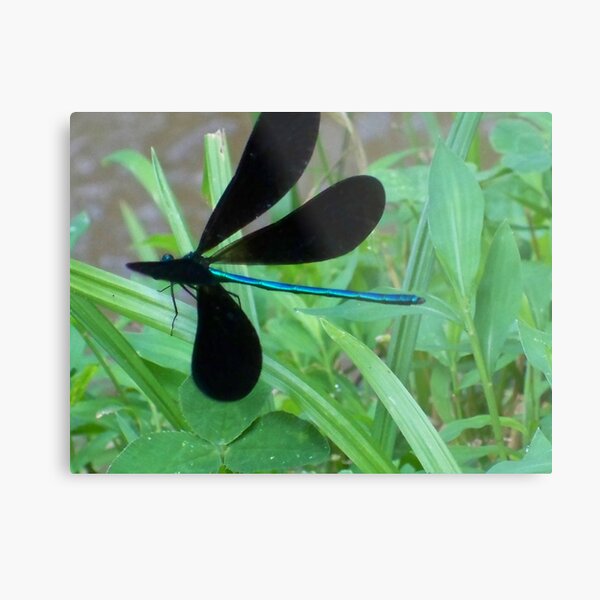 Blue Metal Print