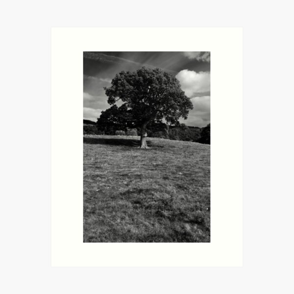 Item preview, Romaldkirk Giant - Durham, England designed and sold by Paul-Berry.