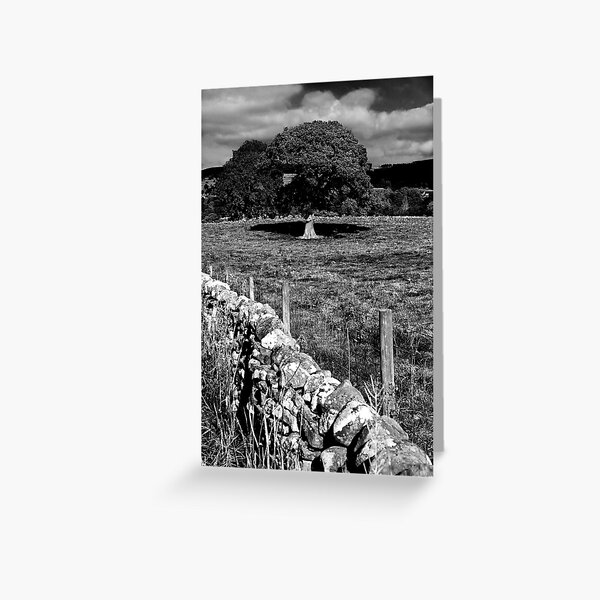 Item preview, Romaldkirk Giant No.2 - Durham, England designed and sold by Paul-Berry.